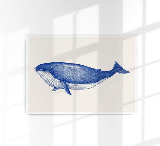 Blue Whale Art Print