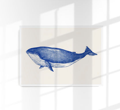 Blue Whale Art Print
