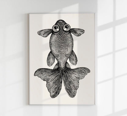 Fish with big eyes Antique Print