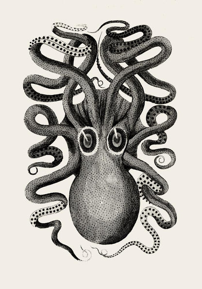 Antique Octopus Set of 2 Prints