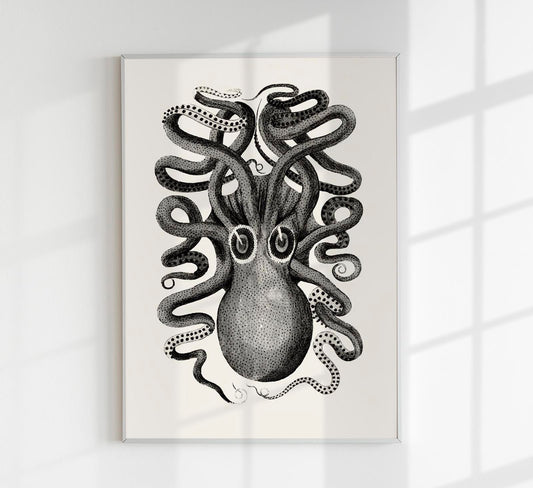 Octopus Front Antique Print