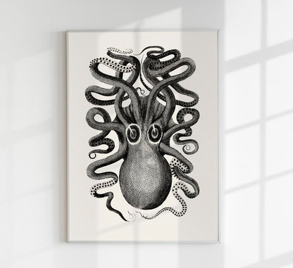 Antique Octopus Set of 2 Prints