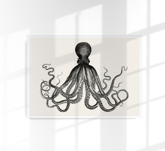 Octopus Antique Print