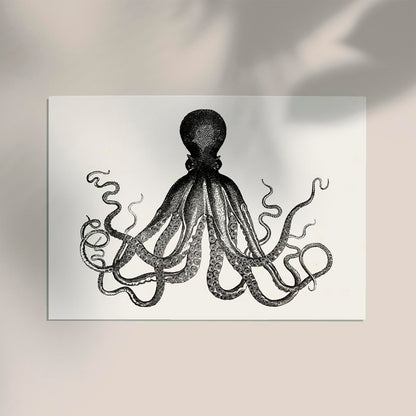 Octopus Antique Print