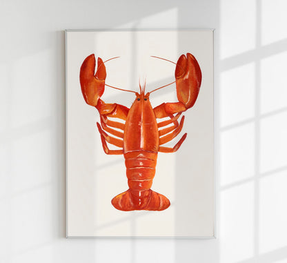 The Red Lobster Antique Print