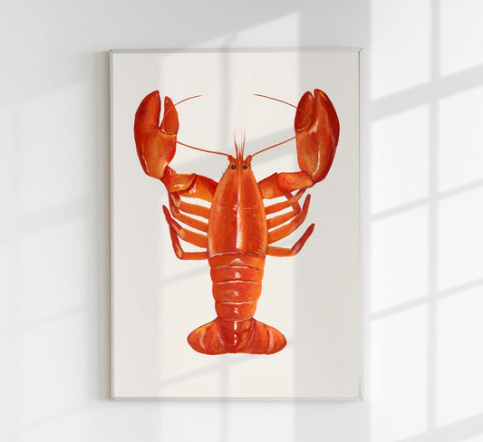 The Red Lobster Antique Print