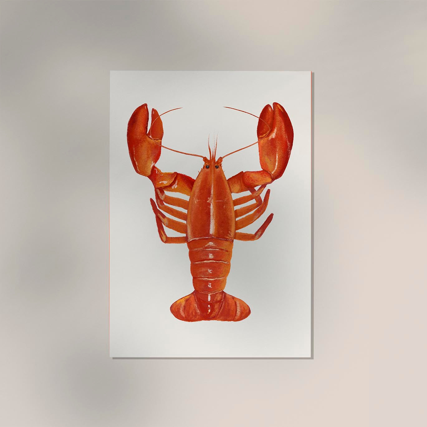 The Red Lobster Antique Print