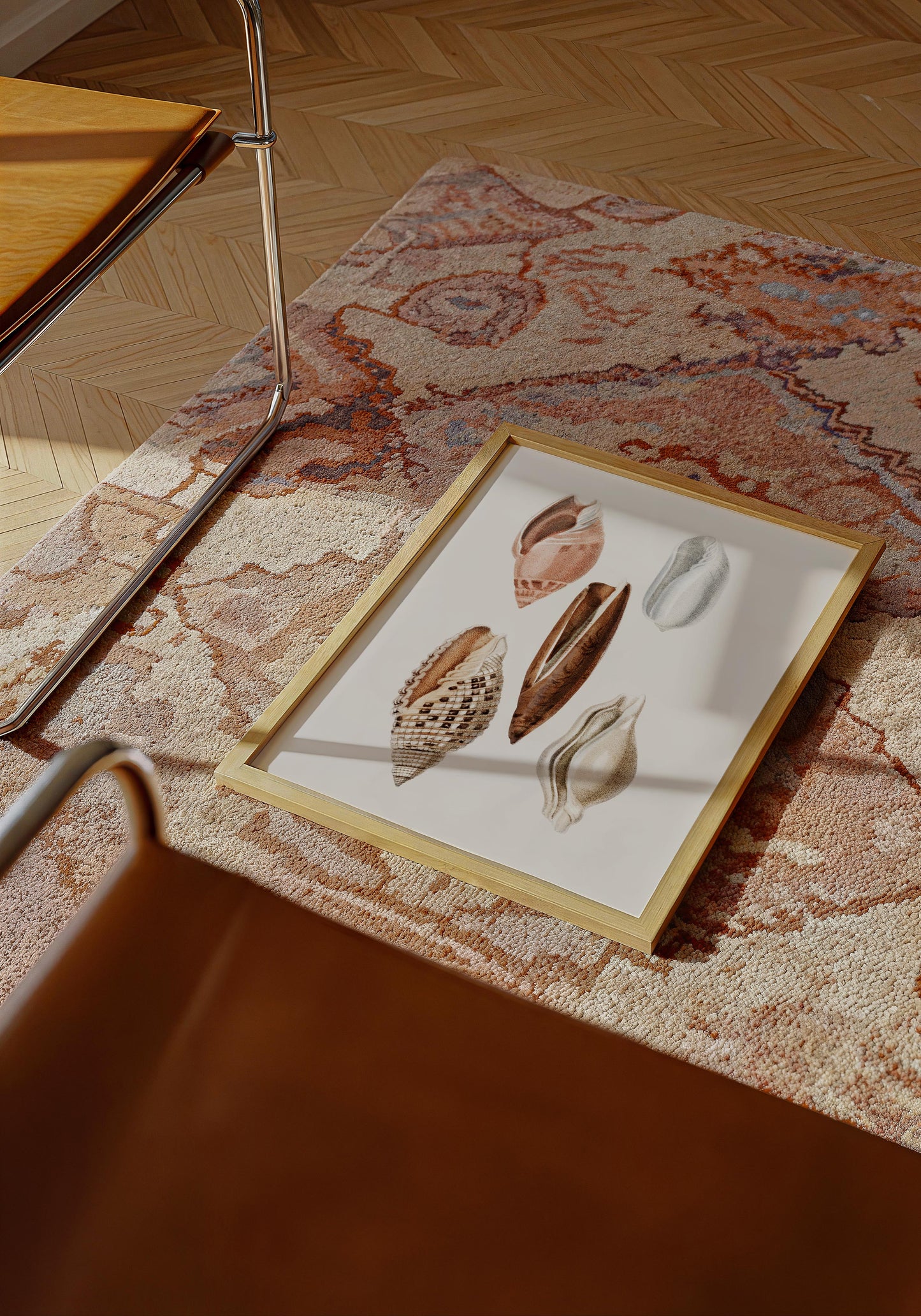 Shells Collage nr 1 Antique Print