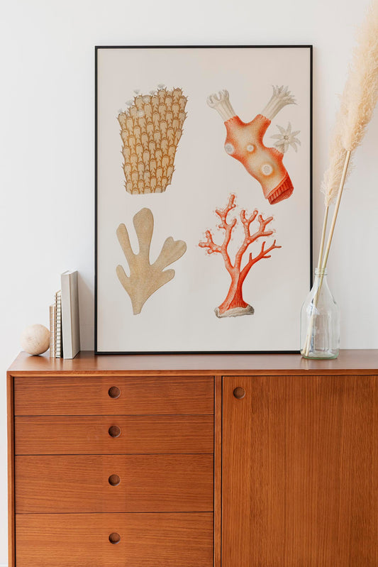 Reefs Collage Antique Print