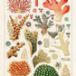 Great Barrier Reef Corals Nr 7