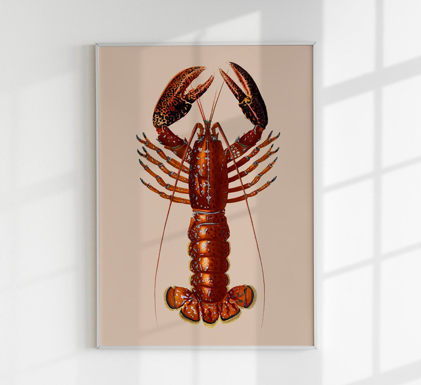 Red Lobster Poster