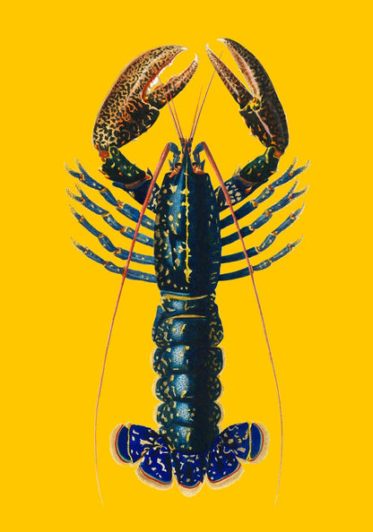 The Yellow Lobster Poster