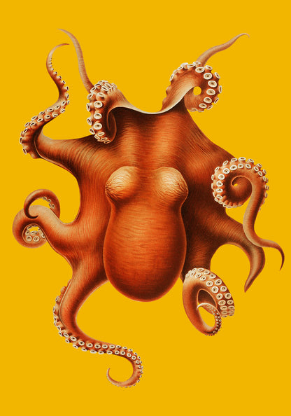 Yellow Octopus Art Poster