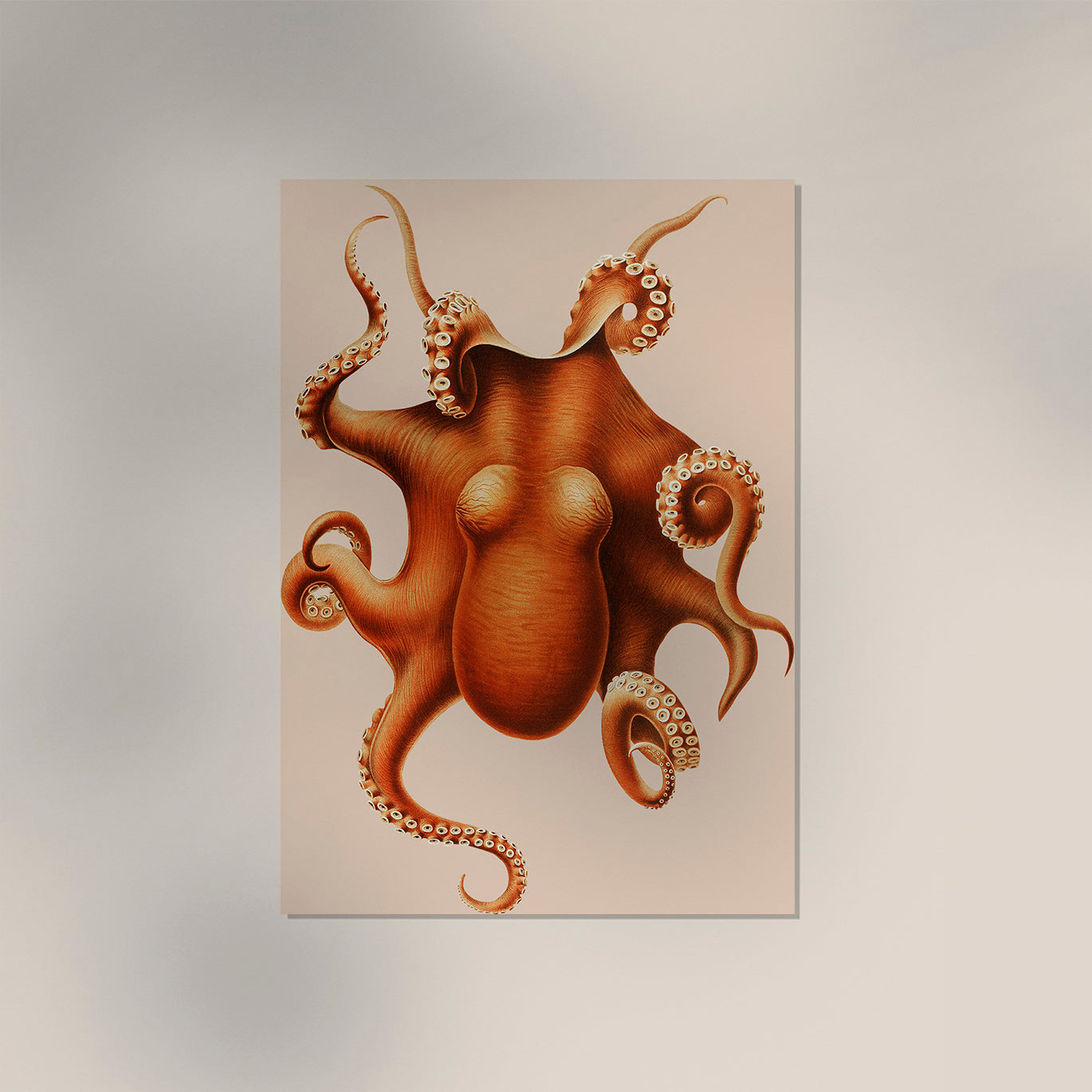 Octopus Art Poster