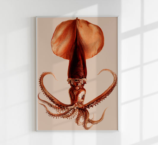 Squid Art Poster
