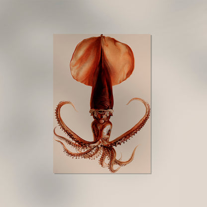 Squid Art Poster