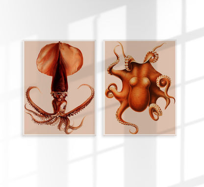 Beige Pulpo Squid Set of 2 Prints