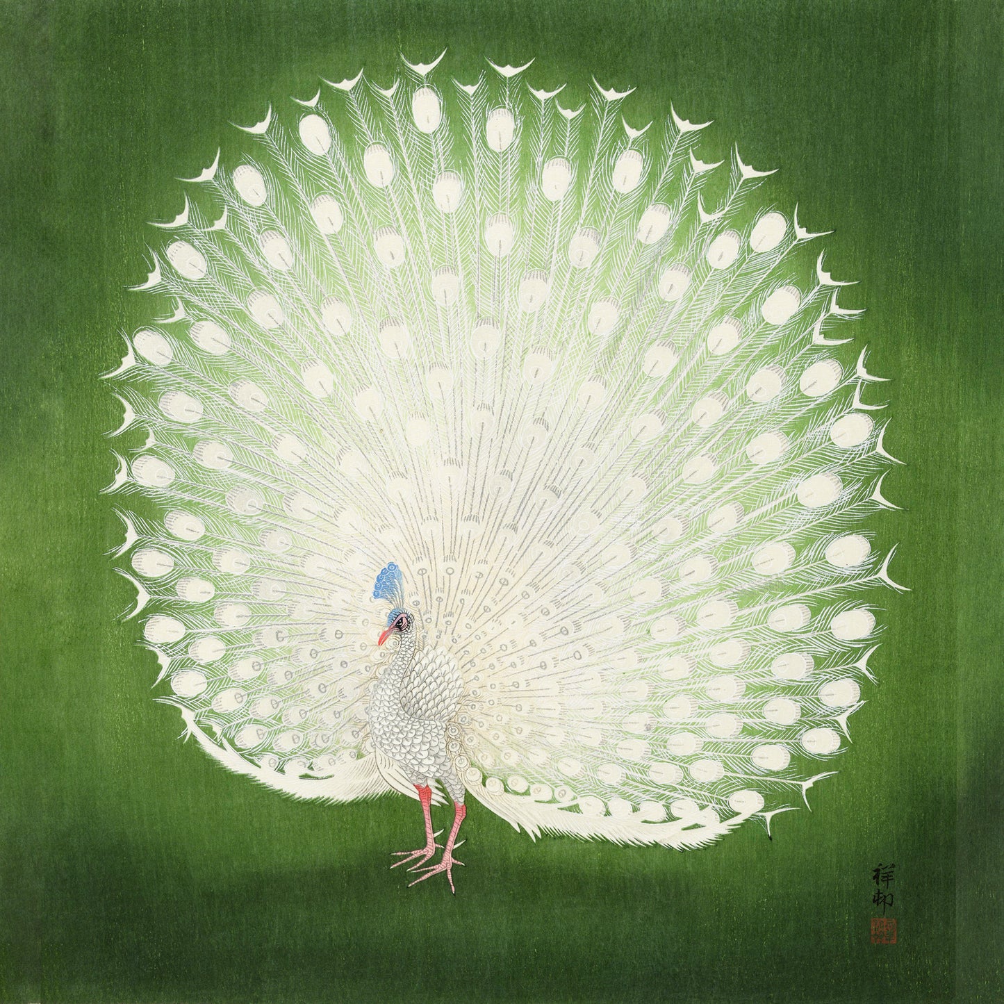 Green Peacock Japanese Squared Print