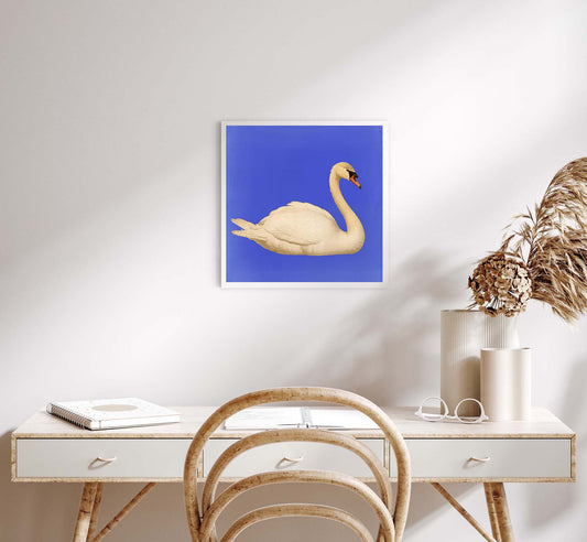 White Swan in Cyan Squared Print