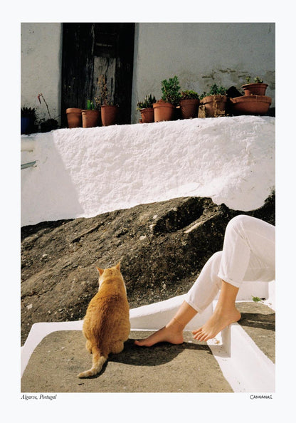 Cat and legs in Algarve Poster by Cannanas