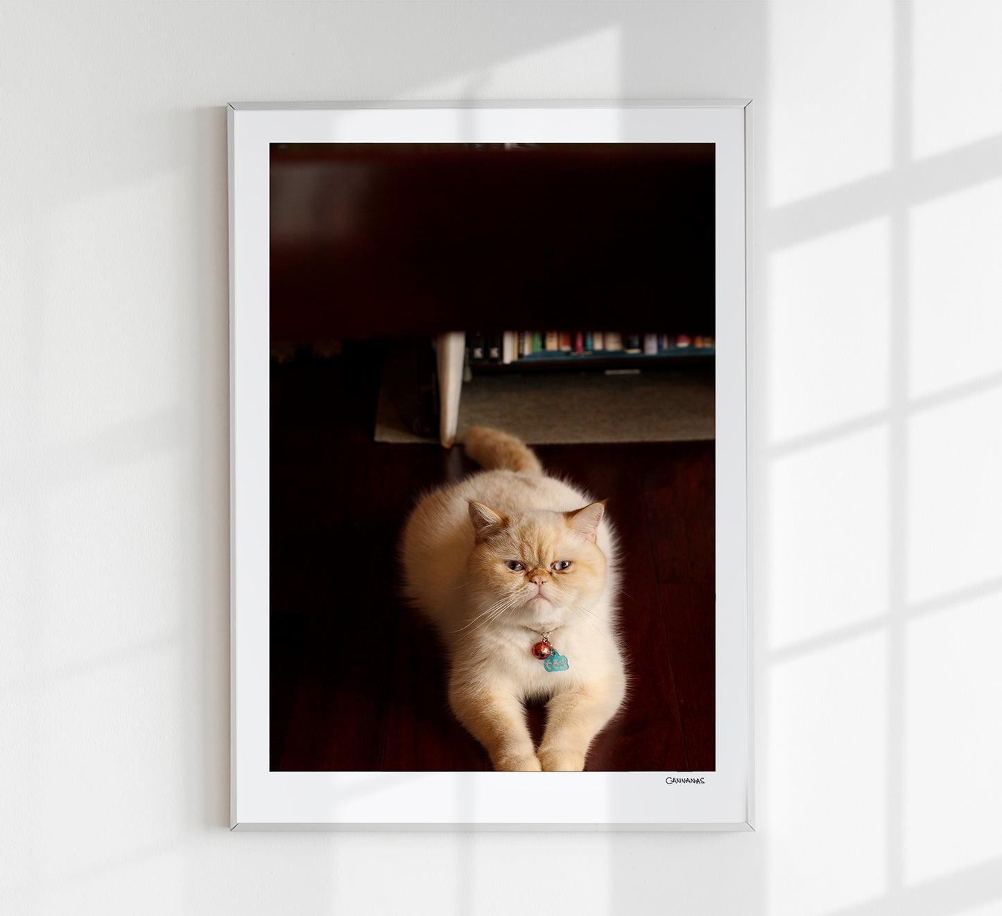 Cat of Kyoto by Cannanas