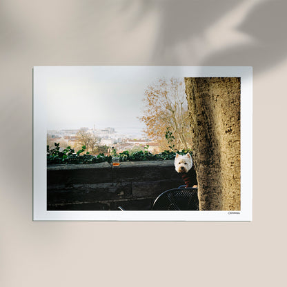 Dog in Trieste by Cannanas