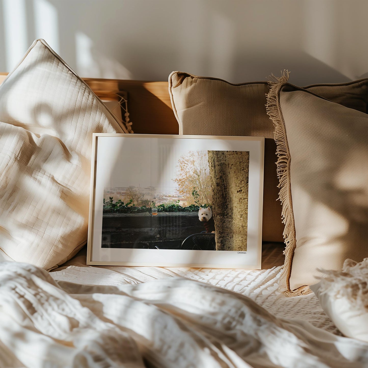 Dog in Trieste by Cannanas