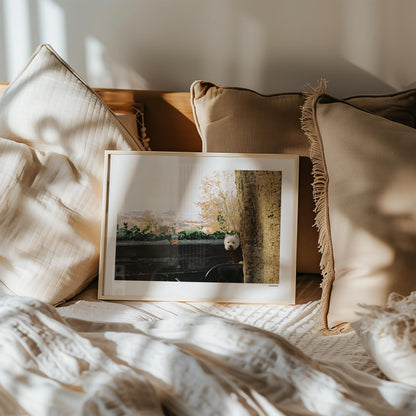 Dog in Trieste by Cannanas