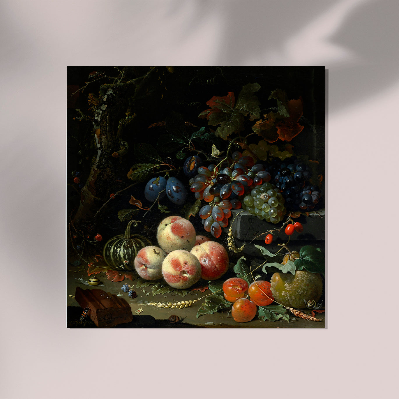 Dutch still life with fruit, foliage, and insects Botanical Squared Print