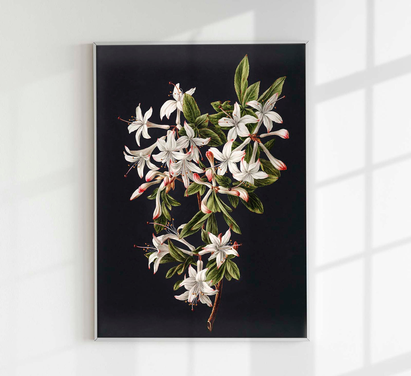 Branch of Azaleas in Bloom by M. de Gijselaar  Botanical Poster