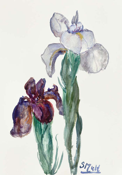 Irises by Sientje Mesdag-van Houten Botanical Poster