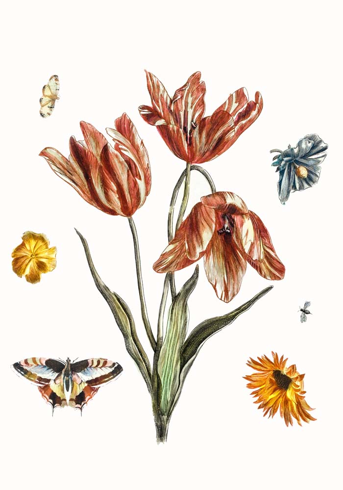 Flowers, butterflies and a fly by Johan Teyler Botanical Poster