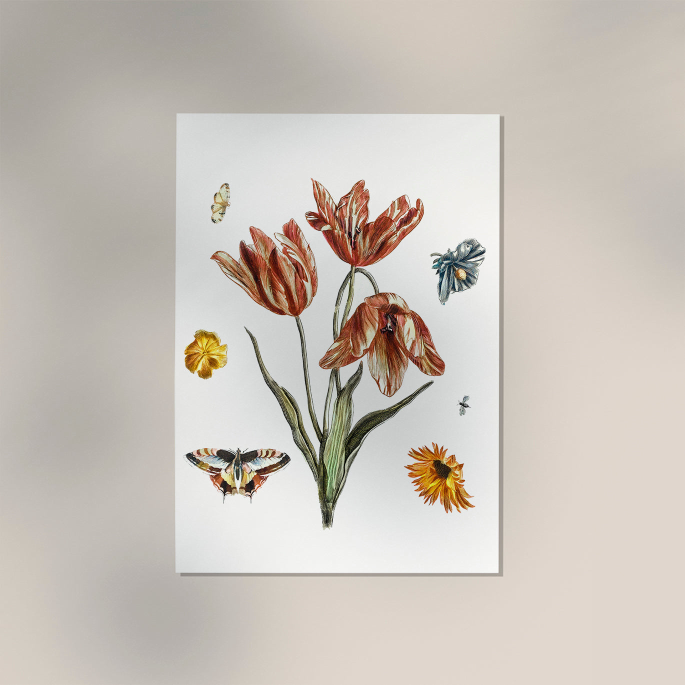 Flowers, butterflies and a fly by Johan Teyler Botanical Poster