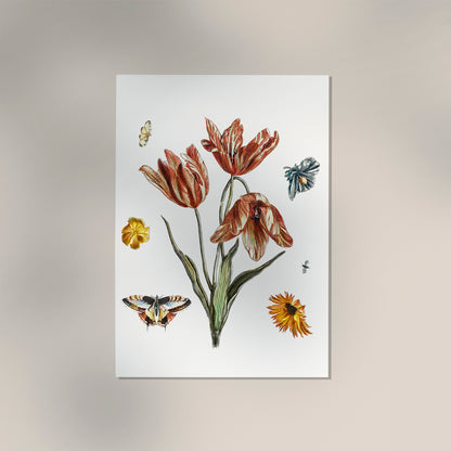 Flowers, butterflies and a fly by Johan Teyler Botanical Poster