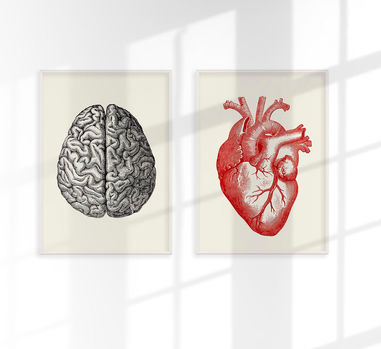 Heart & Brain Set of 2 Prints