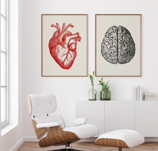 Heart & Brain Set of 2 Prints