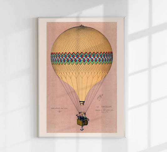 Balloon Tricolore Pink with Borders Poster