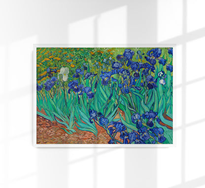 Irises by Van Gogh Art Poster