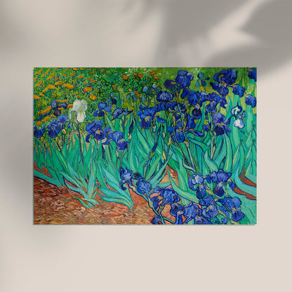 Irises by Van Gogh Art Poster