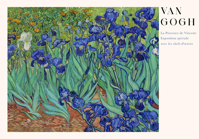 Irises Art Poster by Van Gogh