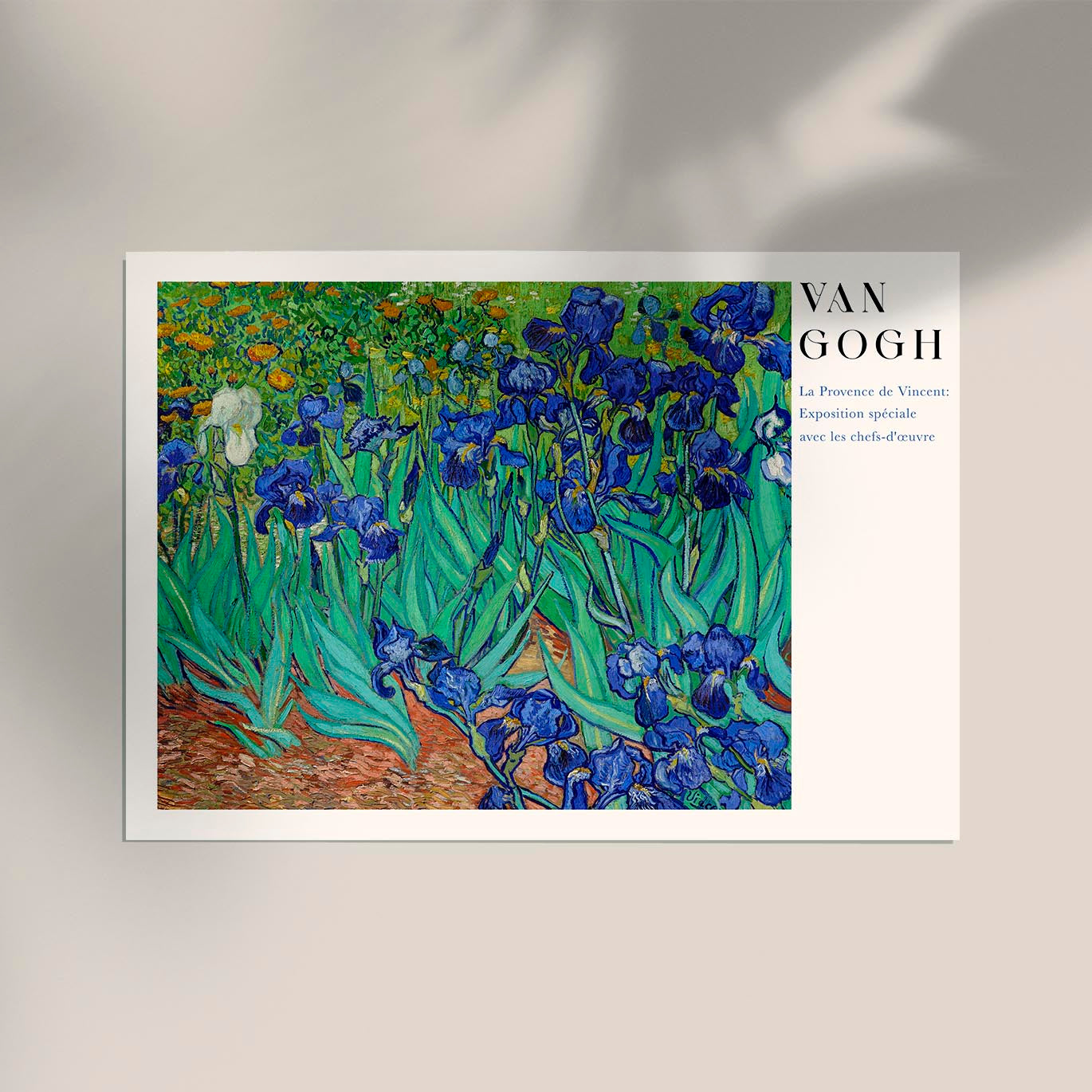 Irises Art Poster by Van Gogh