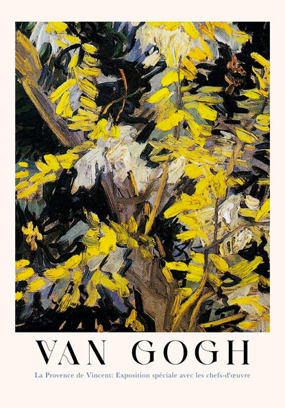 Blossoming Acacia Branches Exhibition Art Poster by Van Gogh