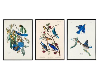 SALE: Blue Birds Canvas Print Set