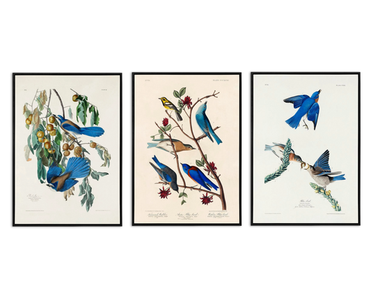 SALE: Blue Birds Canvas Print Set