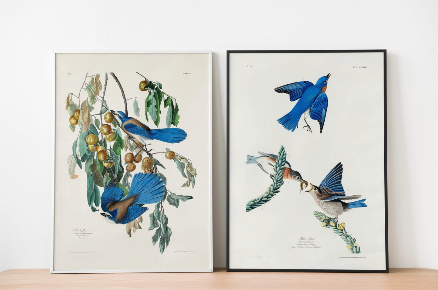 SALE: Blue Birds Canvas Print Set