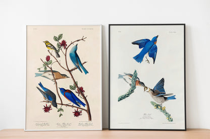 SALE: Blue Birds Canvas Print Set