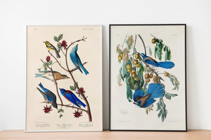 SALE: Blue Birds Canvas Print Set