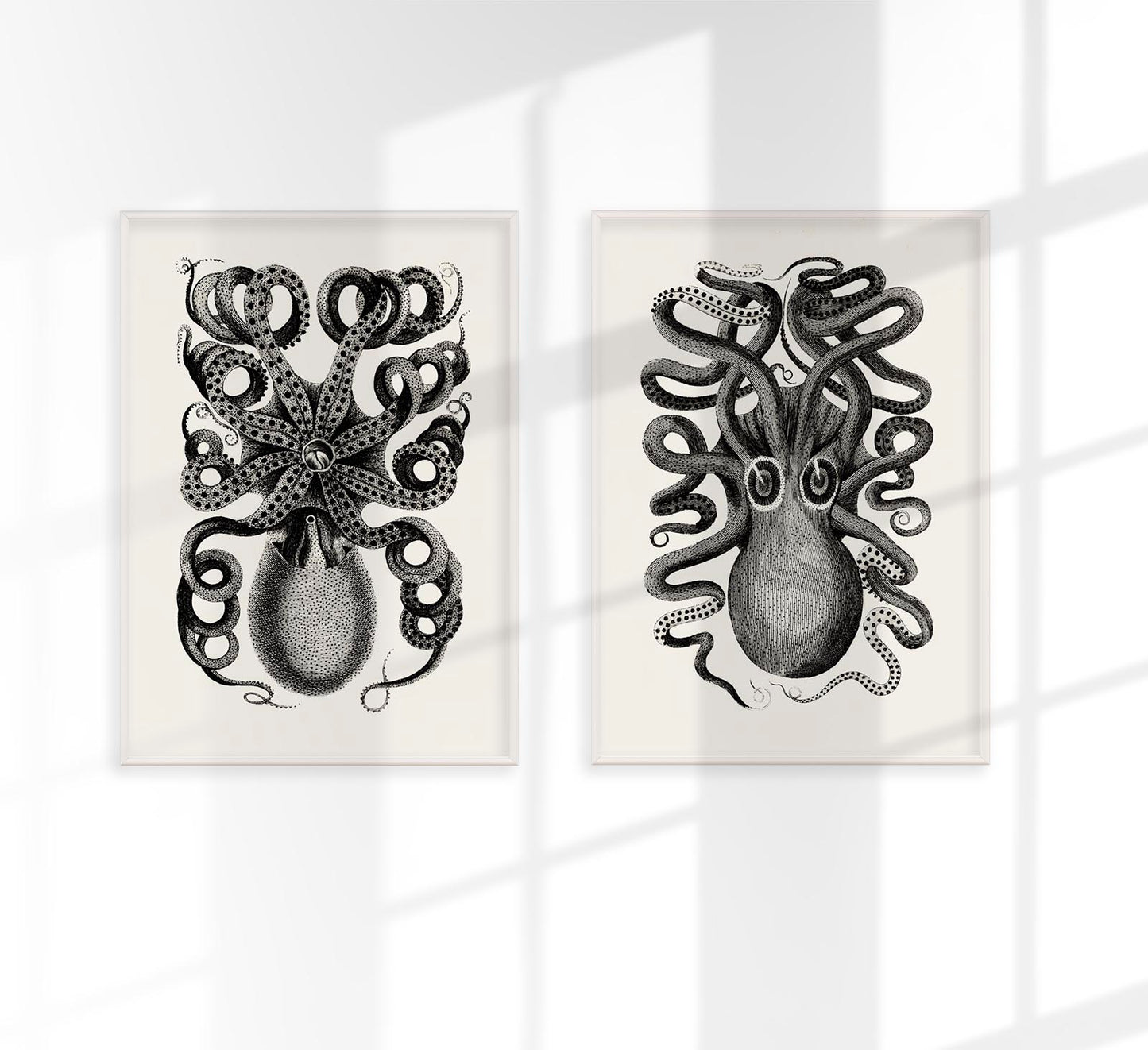 Antique Octopus Set of 2 Prints
