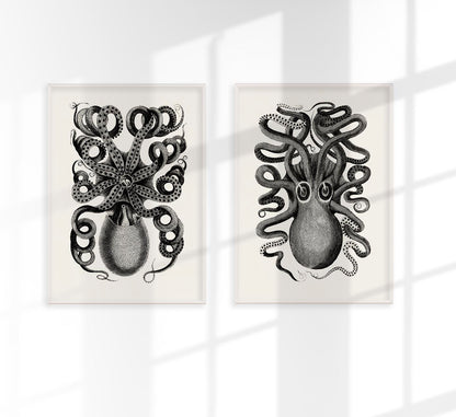 Antique Octopus Set of 2 Prints