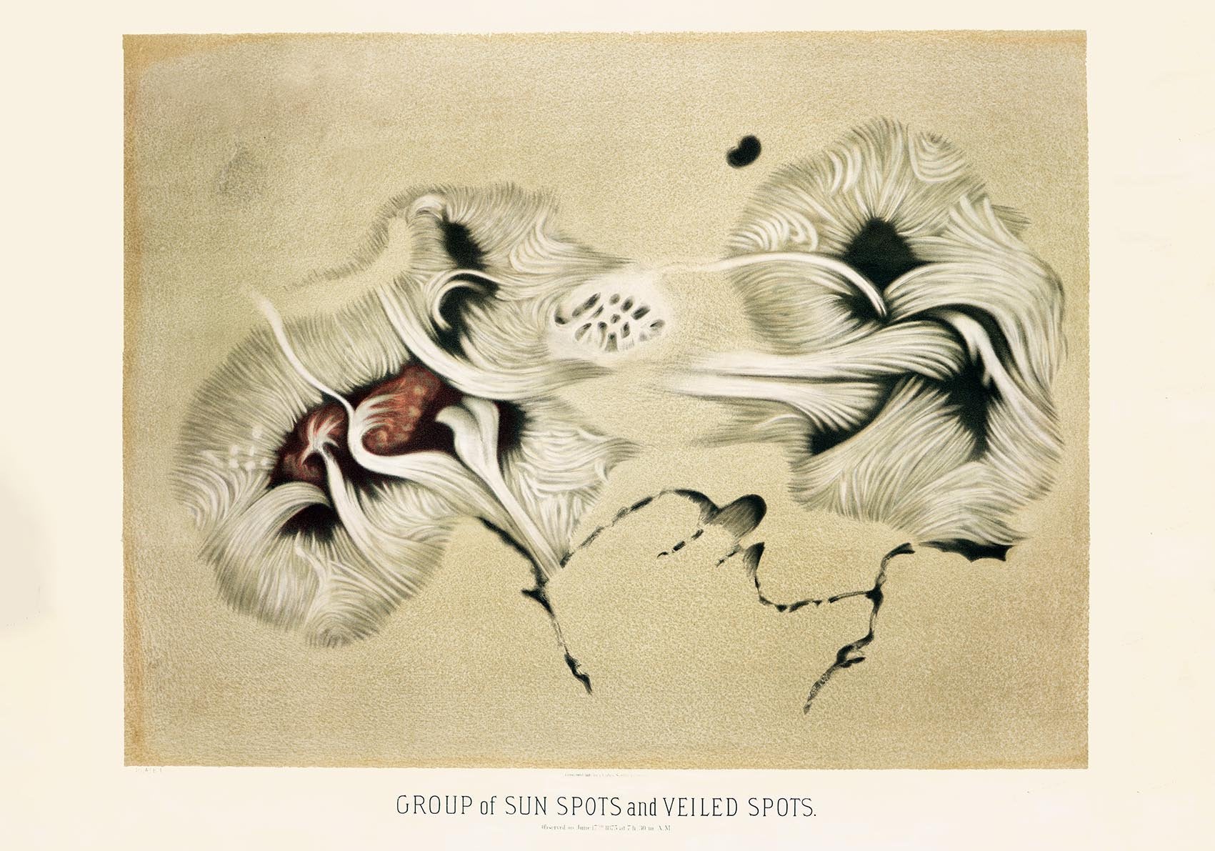 Group of Sunspots Vintage Astronomy Poster 